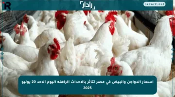 أسعار الدواجن والبيض في مصر تتأثر بالأحداث الراهنة اليوم الأحد 20 يوليو 2025